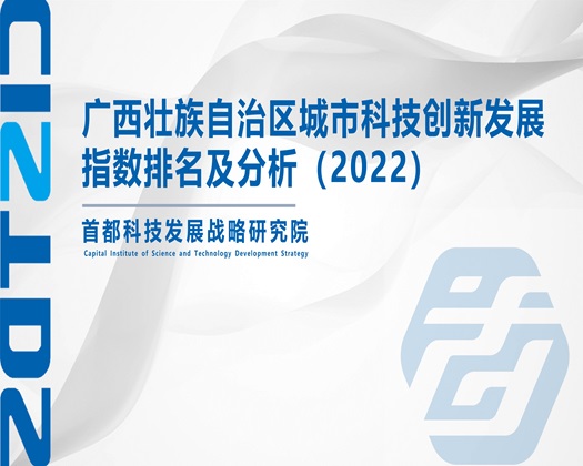 白虎自慰啊啊啊【成果发布】广西壮族自治区城市科技创新发展指数排名及分析（2022）